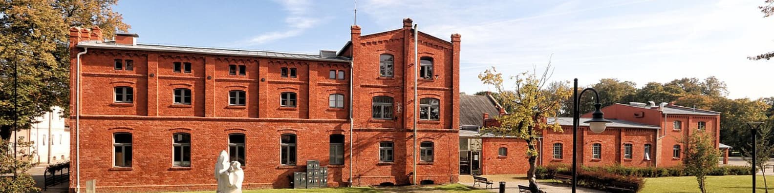 Pranie dywanów Nowy Dwór Gdański